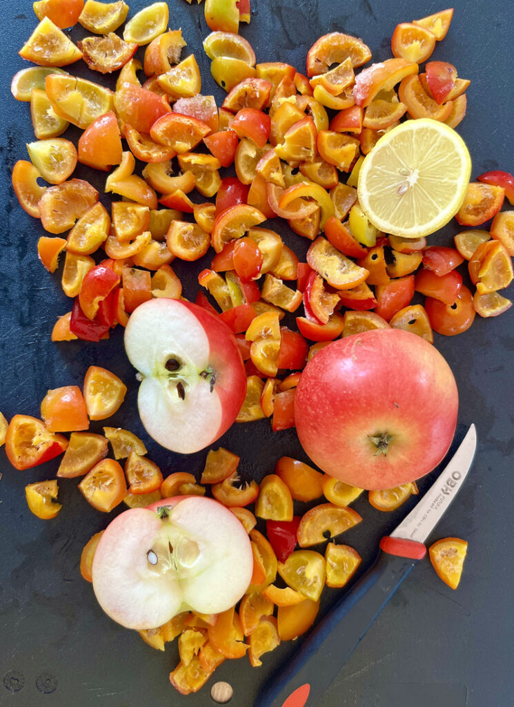 Hybenmarmelade med æble og vanilje er en frisk marmelade med vitaminer i.