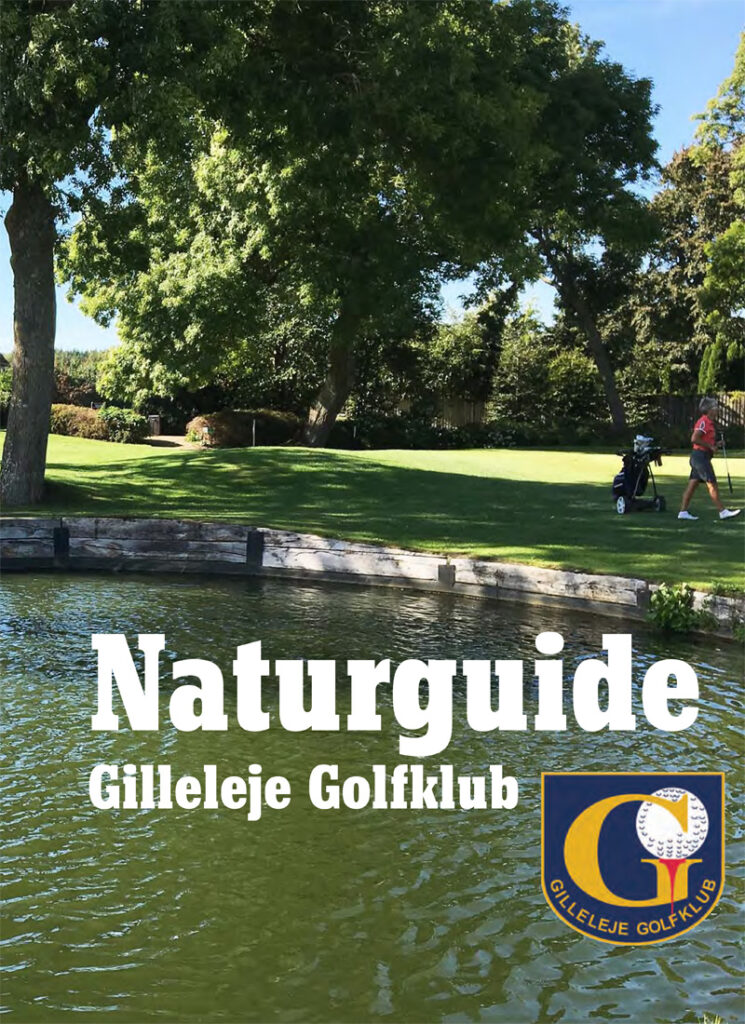 Naturguide Gilleleje Golfklub 2016