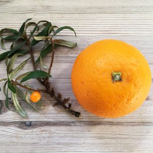Havtorn og appelsin er fyldt med C-vitaminer